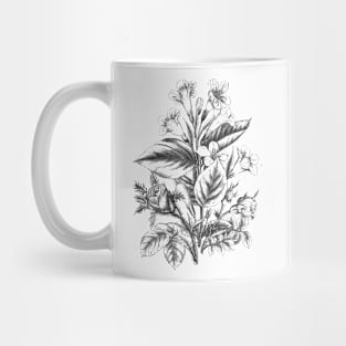 Flower Bouquet Black and White Vintage Botanical Illustration Mug